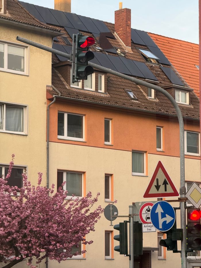 Colorful urban scene featuring traffic lights and a blooming tree in front of residential buildings.